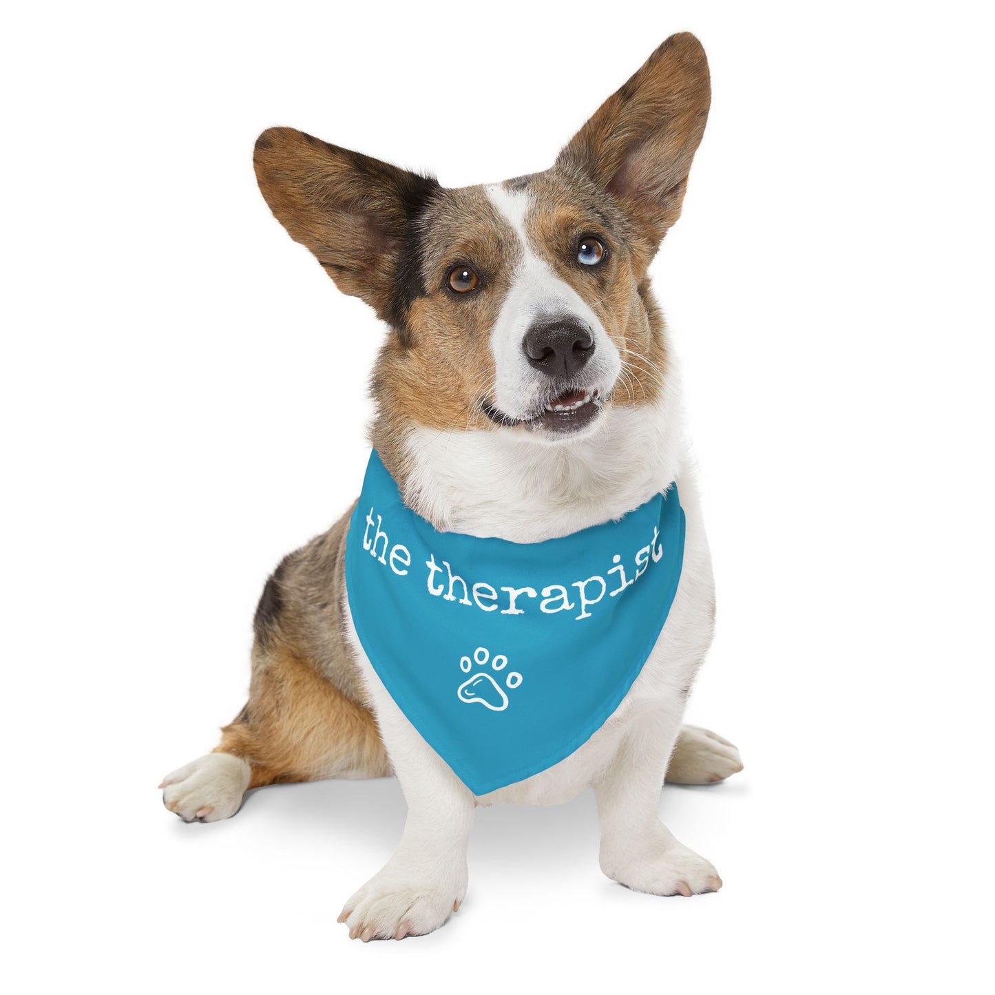 "The Therapist" Pet Bandana Collar in Turquoise