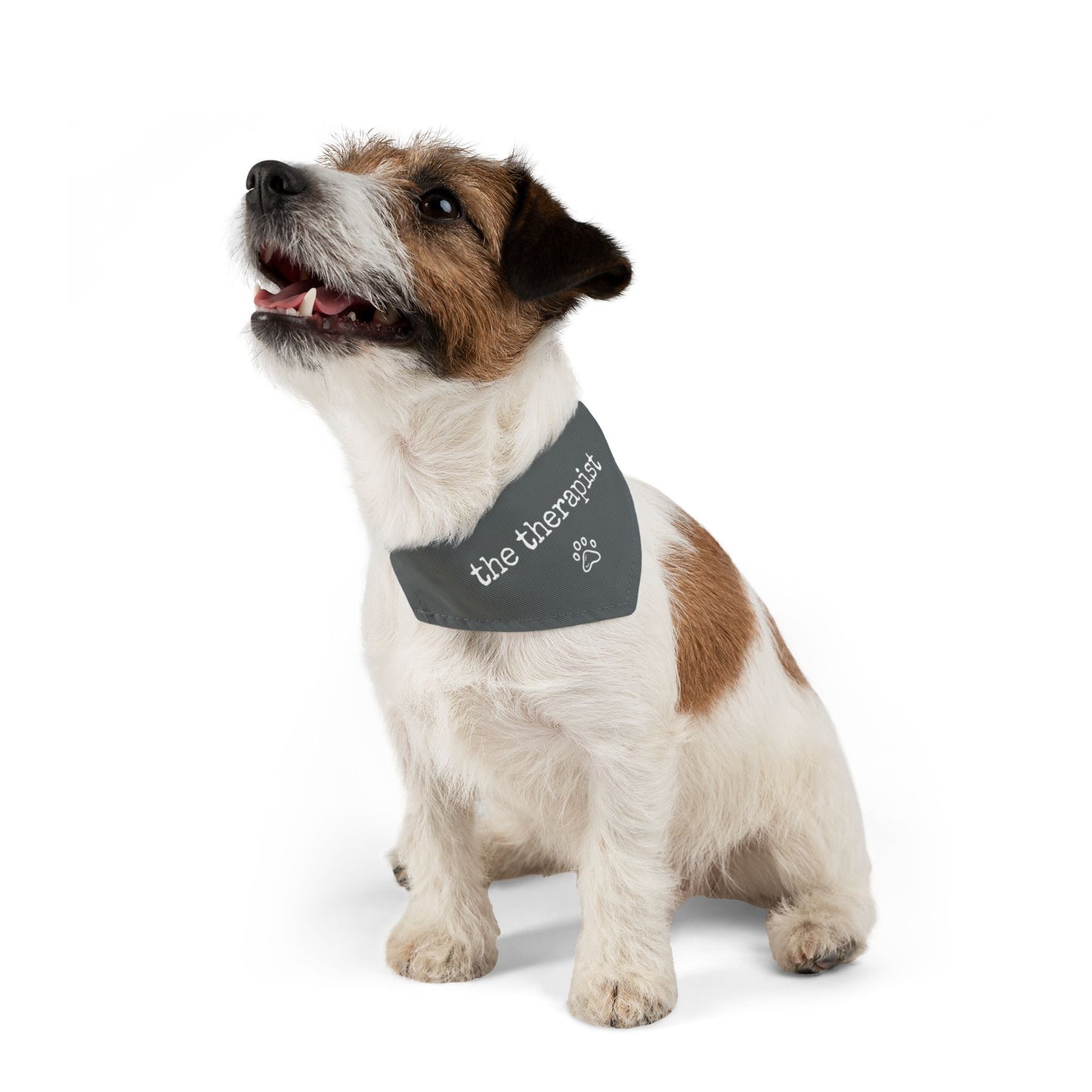 "The Therapist" Pet Bandana Collar in Charcoal Grey