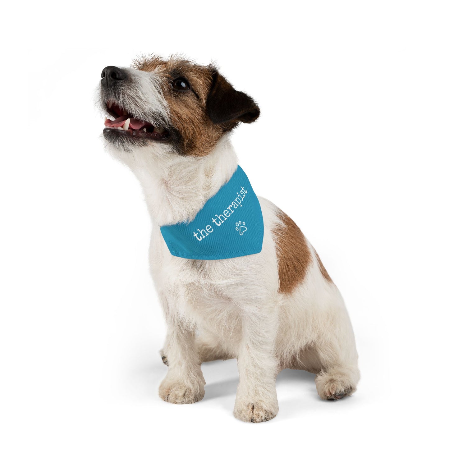 "The Therapist" Pet Bandana Collar in Turquoise