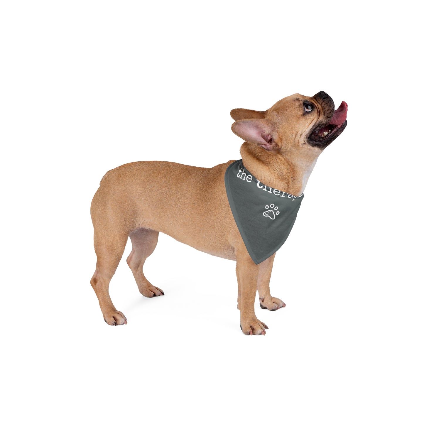 "The Therapist" Pet Bandana in Charcoal Grey
