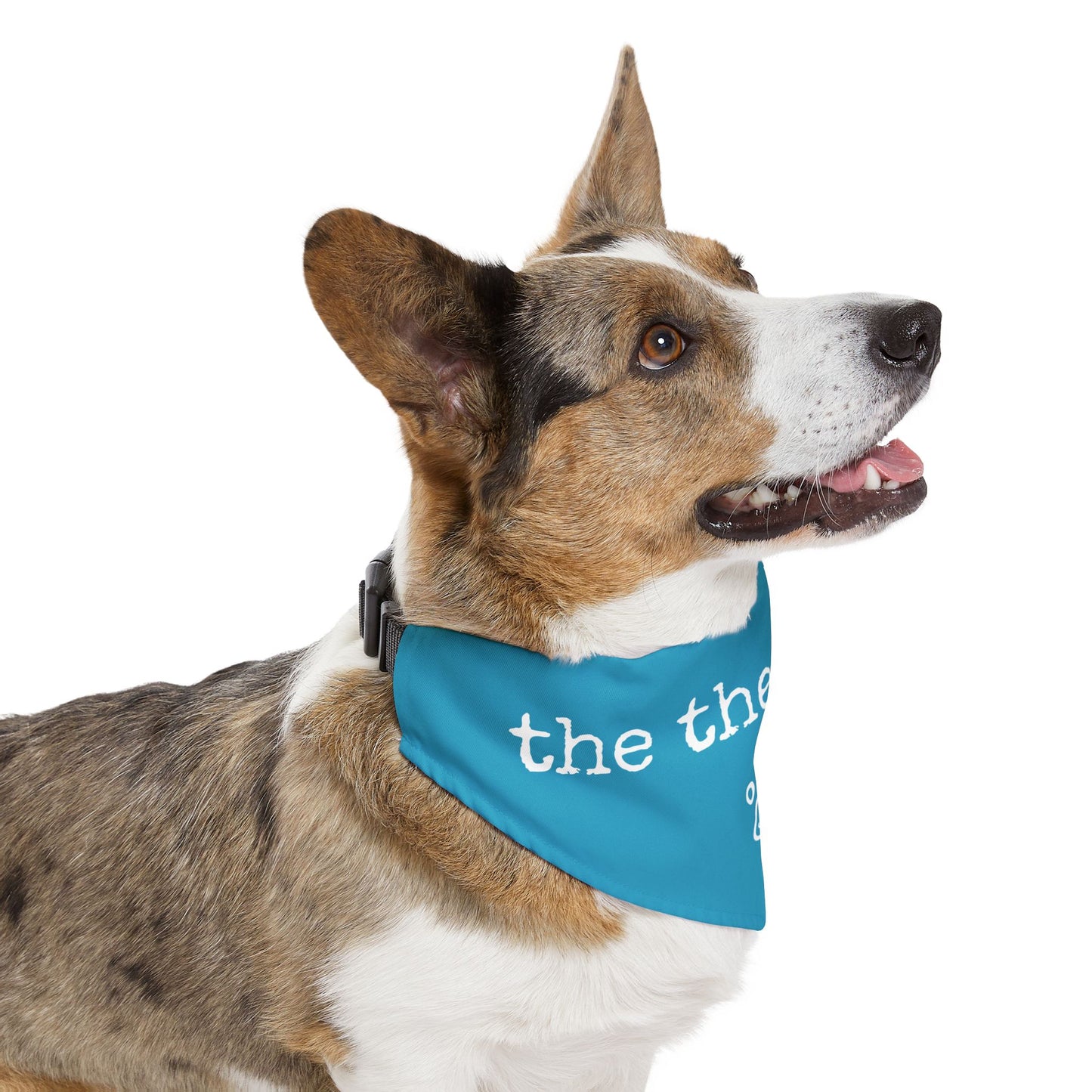 "The Therapist" Pet Bandana Collar in Turquoise