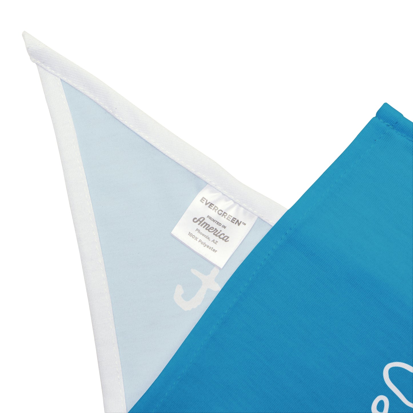 "The Therapist" Pet Bandana in Turquoise