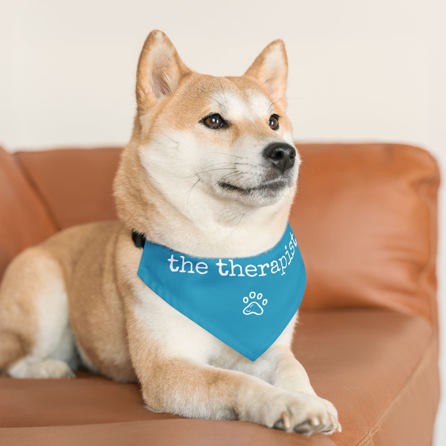"The Therapist" Pet Bandana Collar in Turquoise