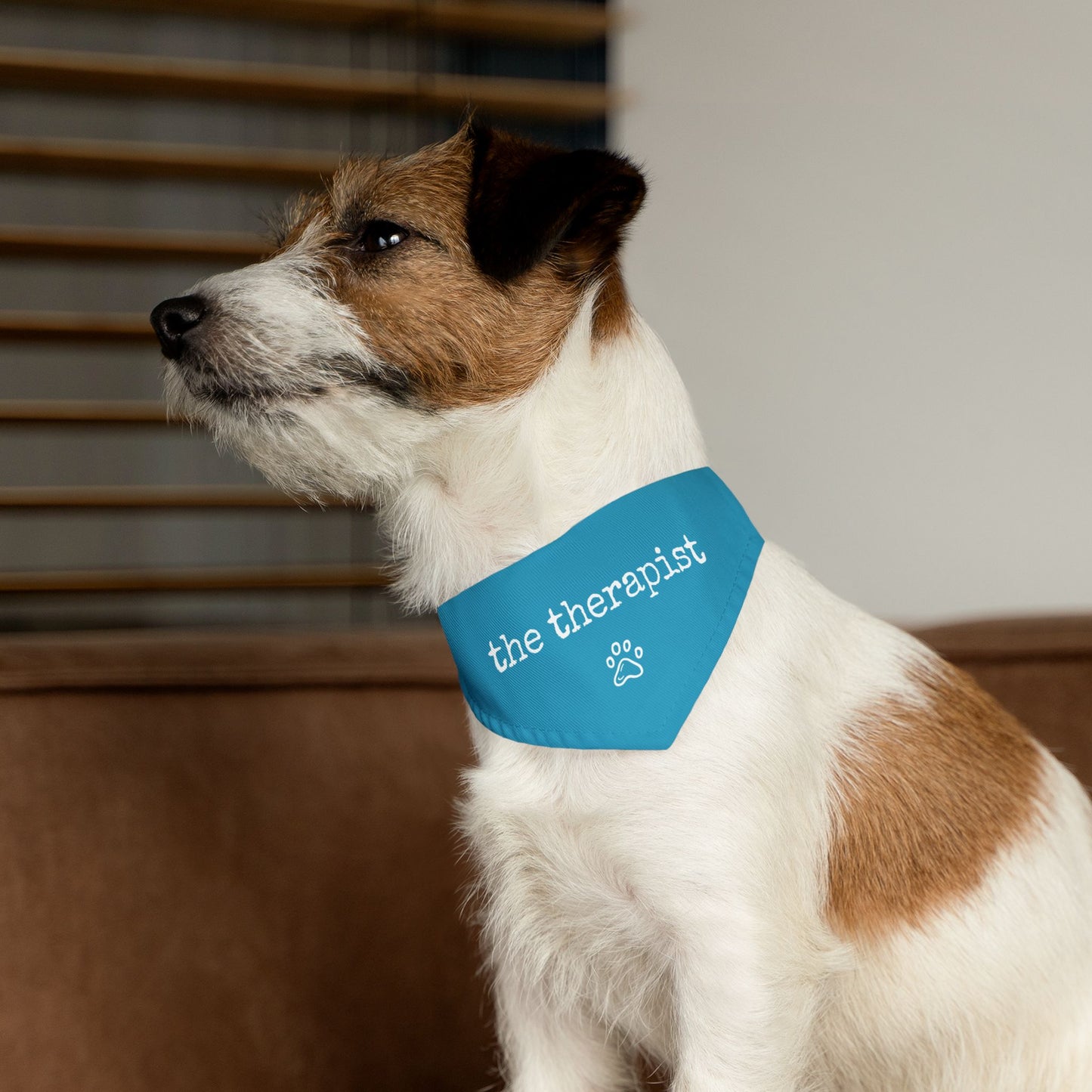 "The Therapist" Pet Bandana Collar in Turquoise
