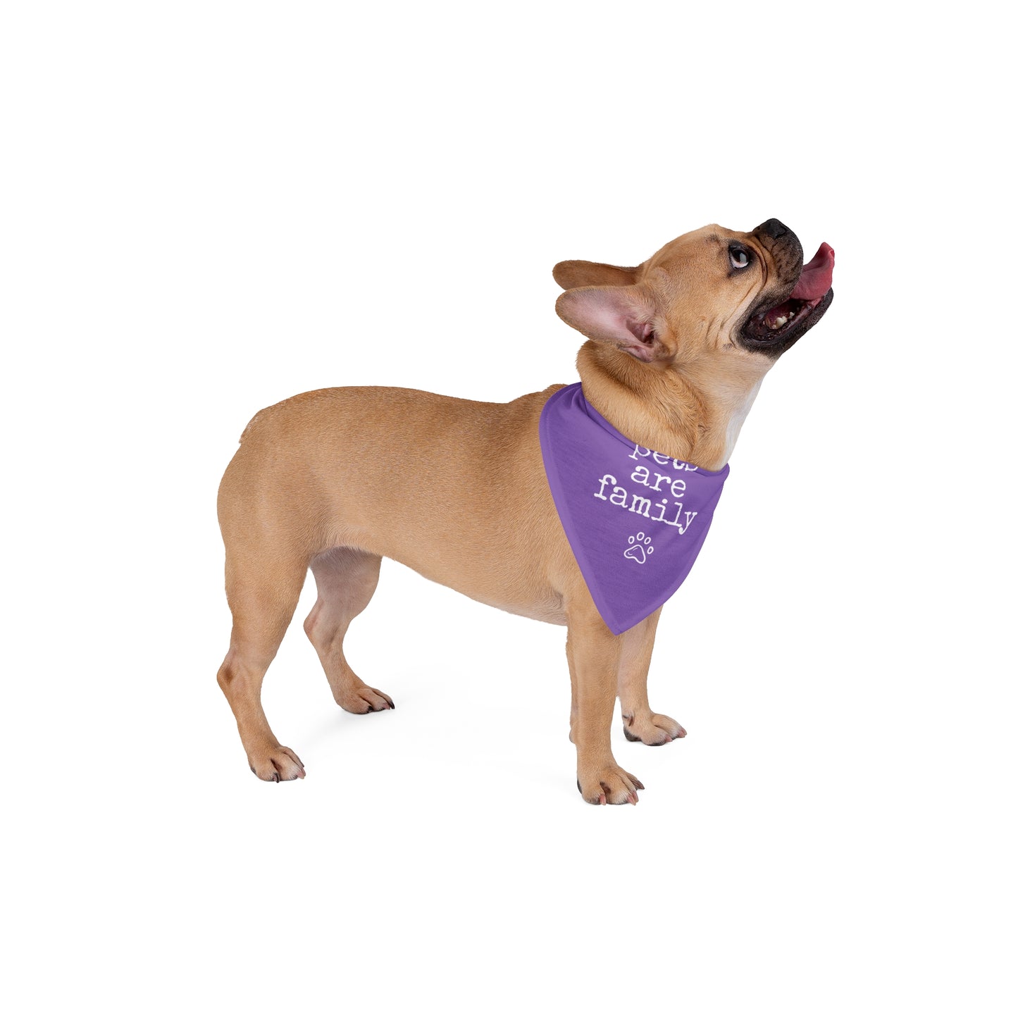 "Pets Are Family" Purple Pet Bandana