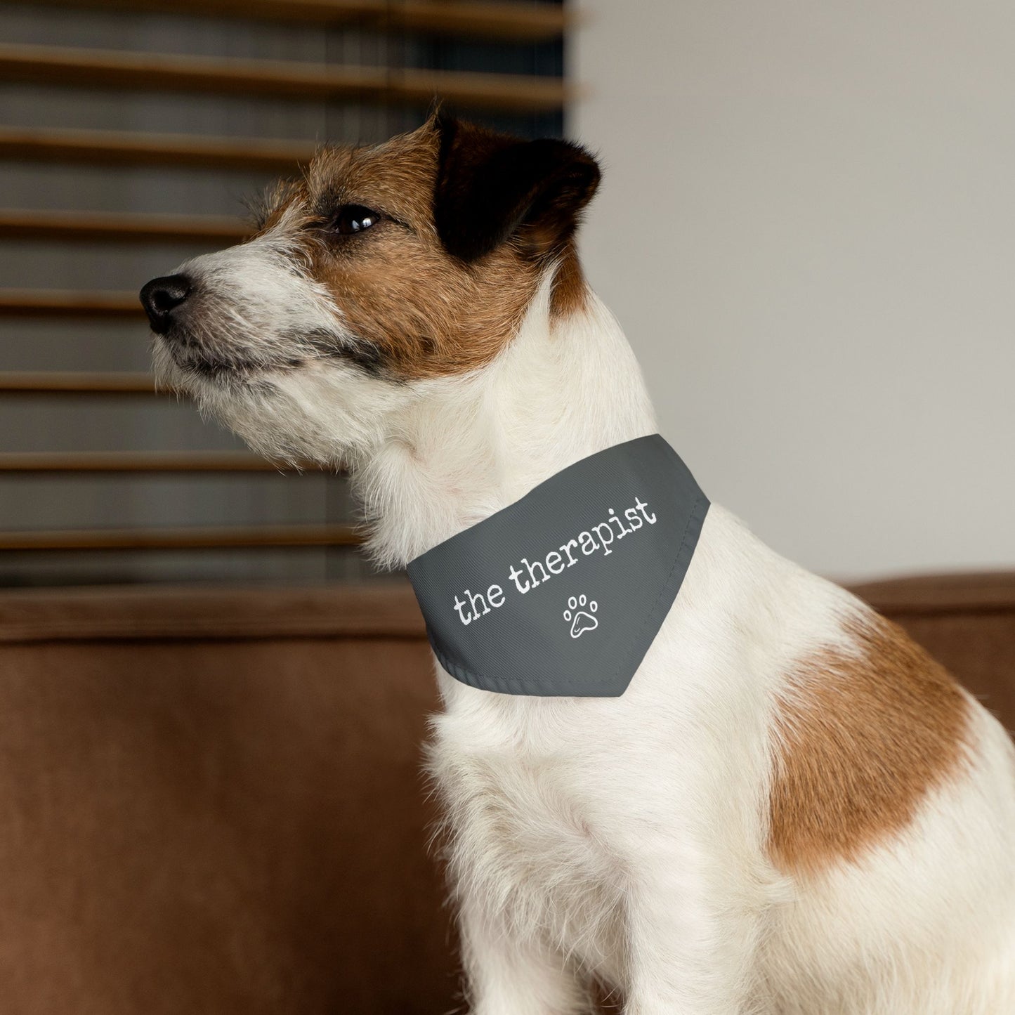 "The Therapist" Pet Bandana Collar in Charcoal Grey