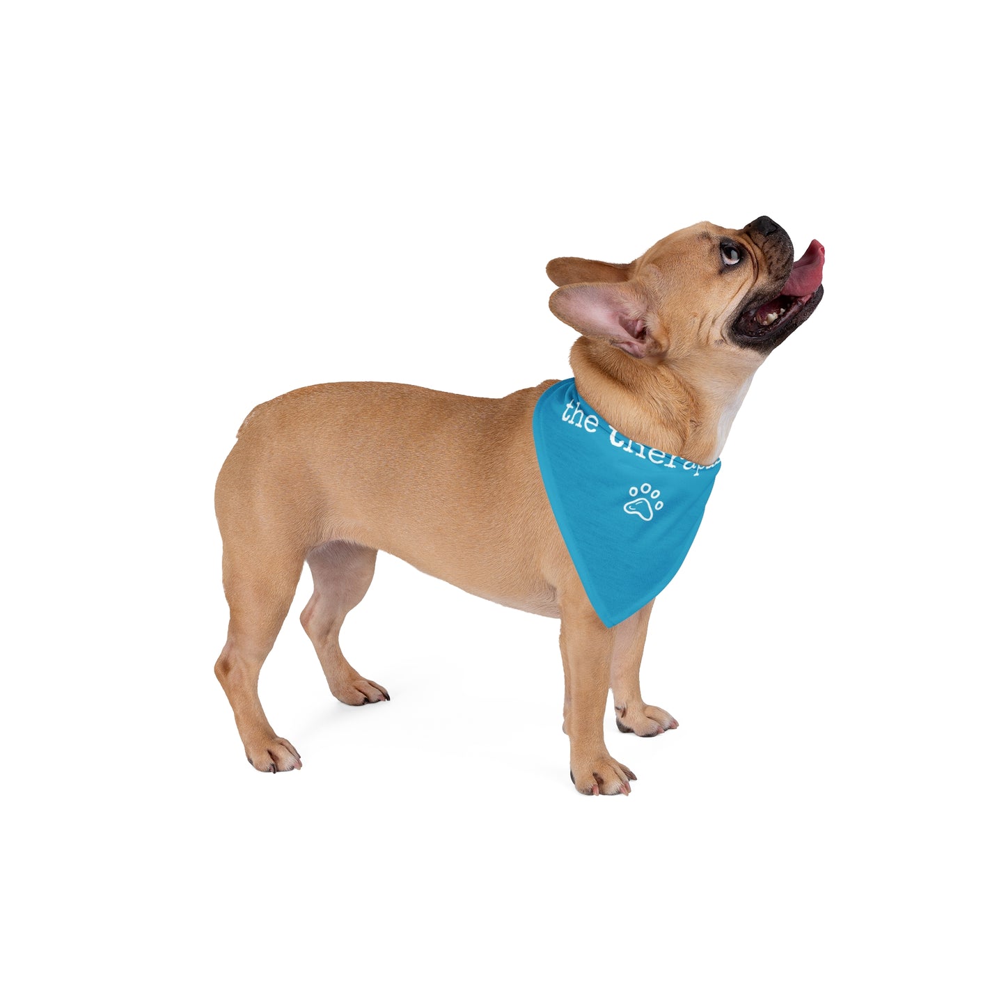 "The Therapist" Pet Bandana in Turquoise