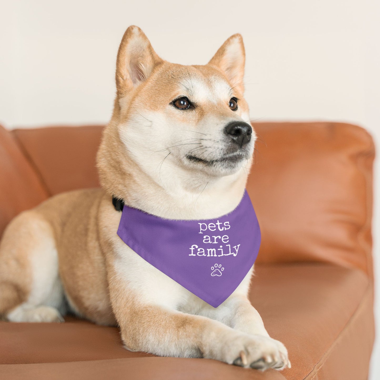 "Pets Are Family" Purple Pet Bandana Collar