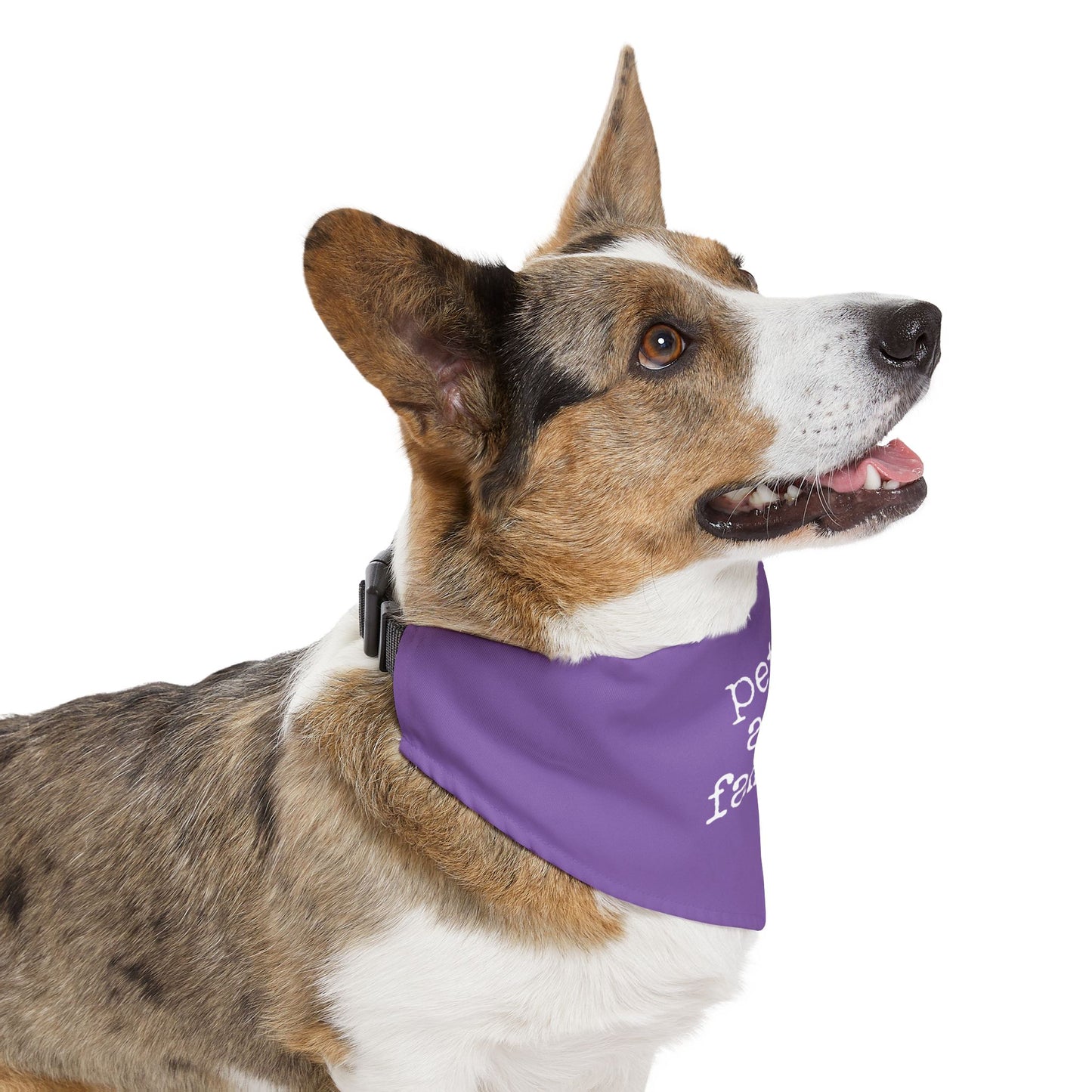 "Pets Are Family" Purple Pet Bandana Collar