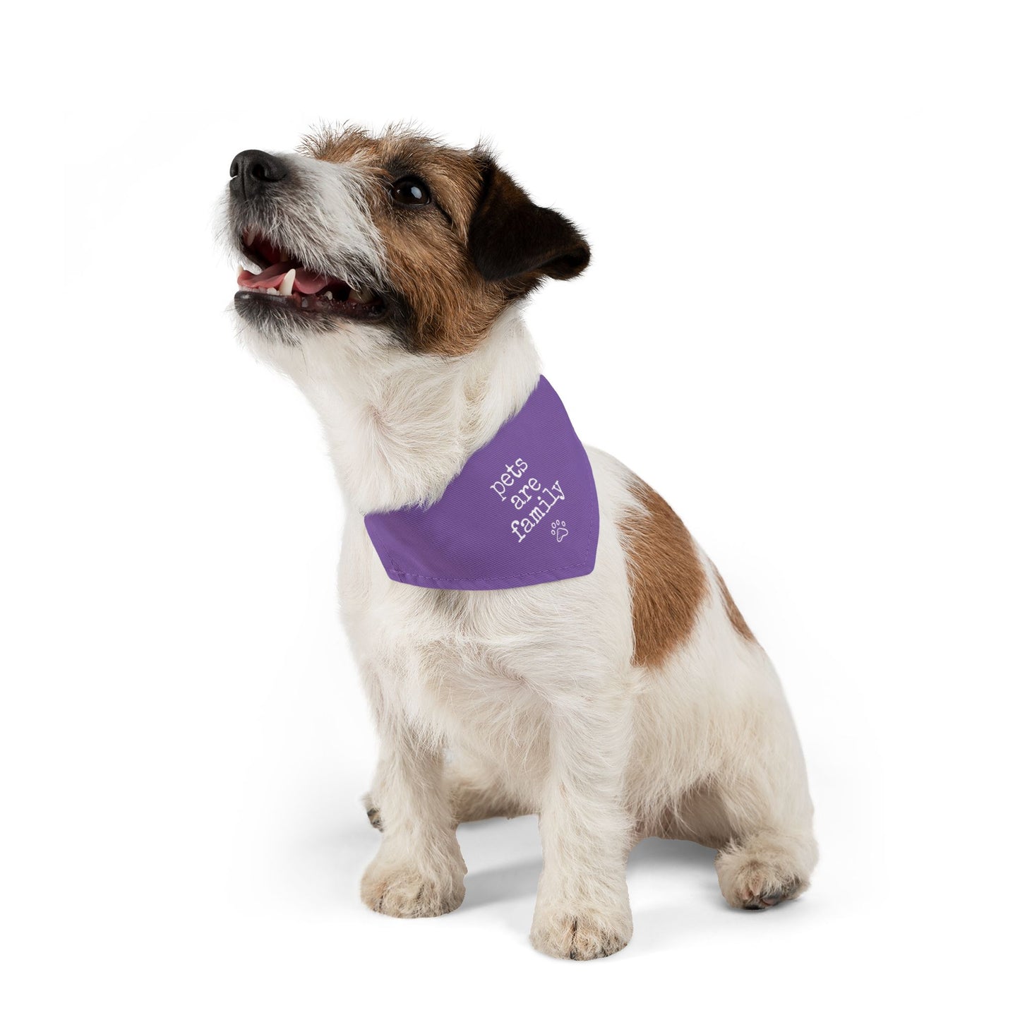 "Pets Are Family" Purple Pet Bandana Collar