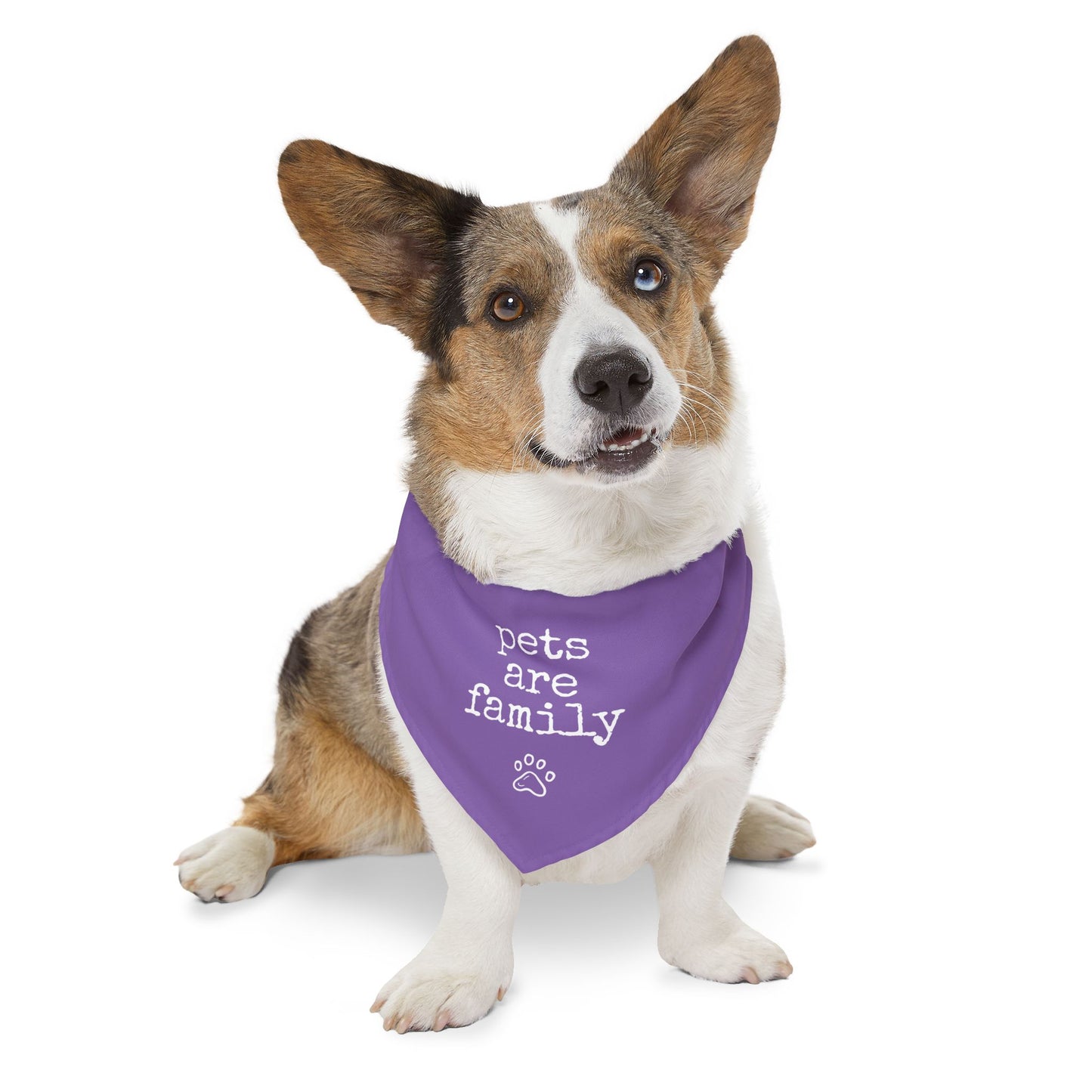"Pets Are Family" Purple Pet Bandana Collar