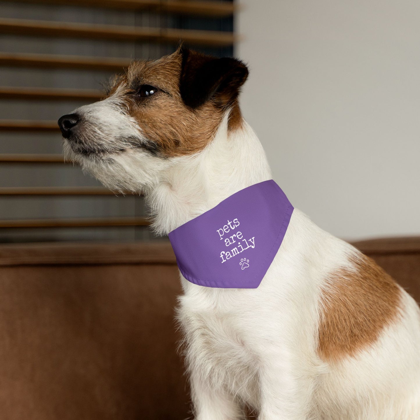 "Pets Are Family" Purple Pet Bandana Collar